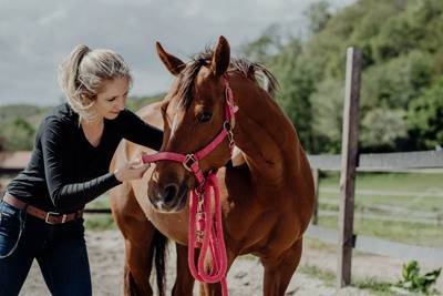Therapeutin Julia Greb untersucht aufmerksam ein Pferd während einer Behandlungssitzung am ANIVET INSTITUTE.