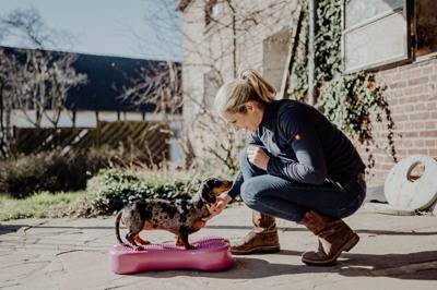 Julia Greb trainiert einen Dackel auf einem Balance-Board im Freien, ein Teil der Hunde-Physiotherapieausbildung des Anivet Instituts.